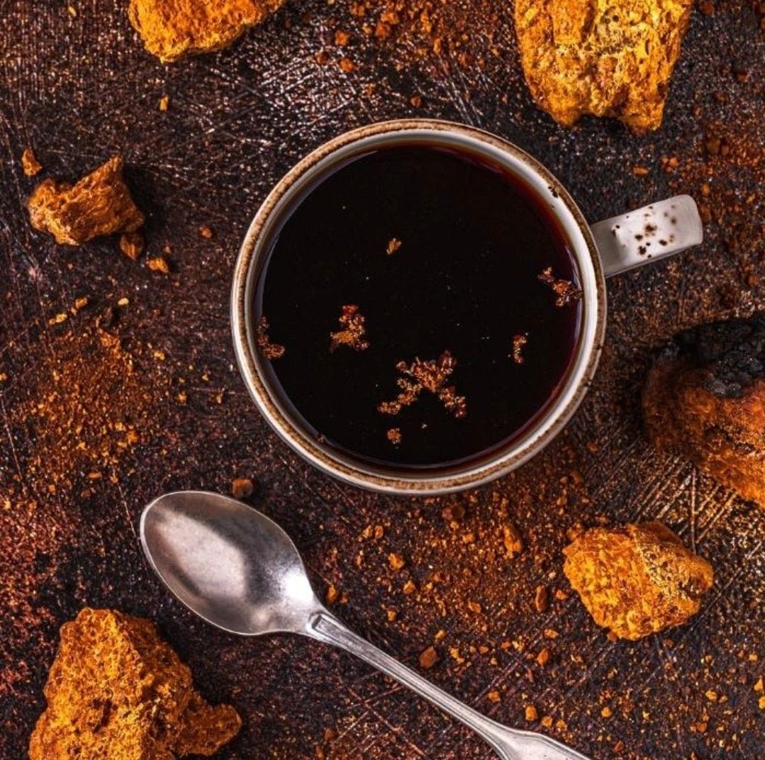 Health Benefits of Chaga Mushrooms - Lunar Herbals