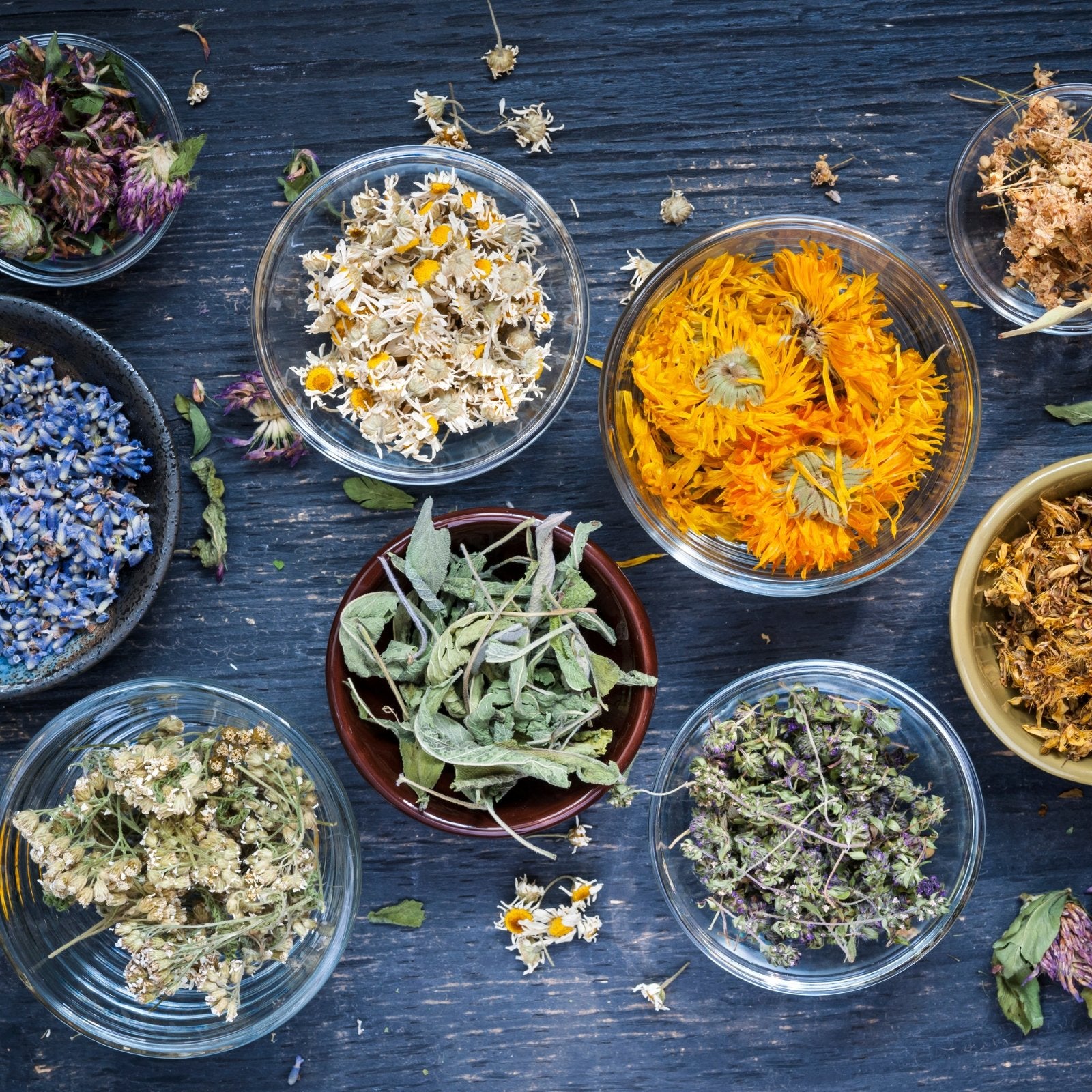 Herbs For Lucid Dreaming - Lunar Herbals