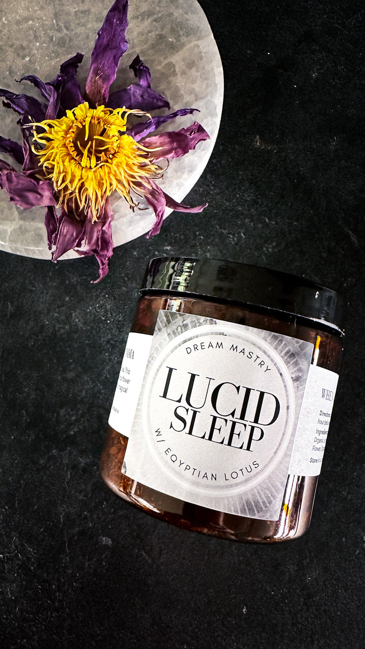 Lucid Sleep Dreaming Tea