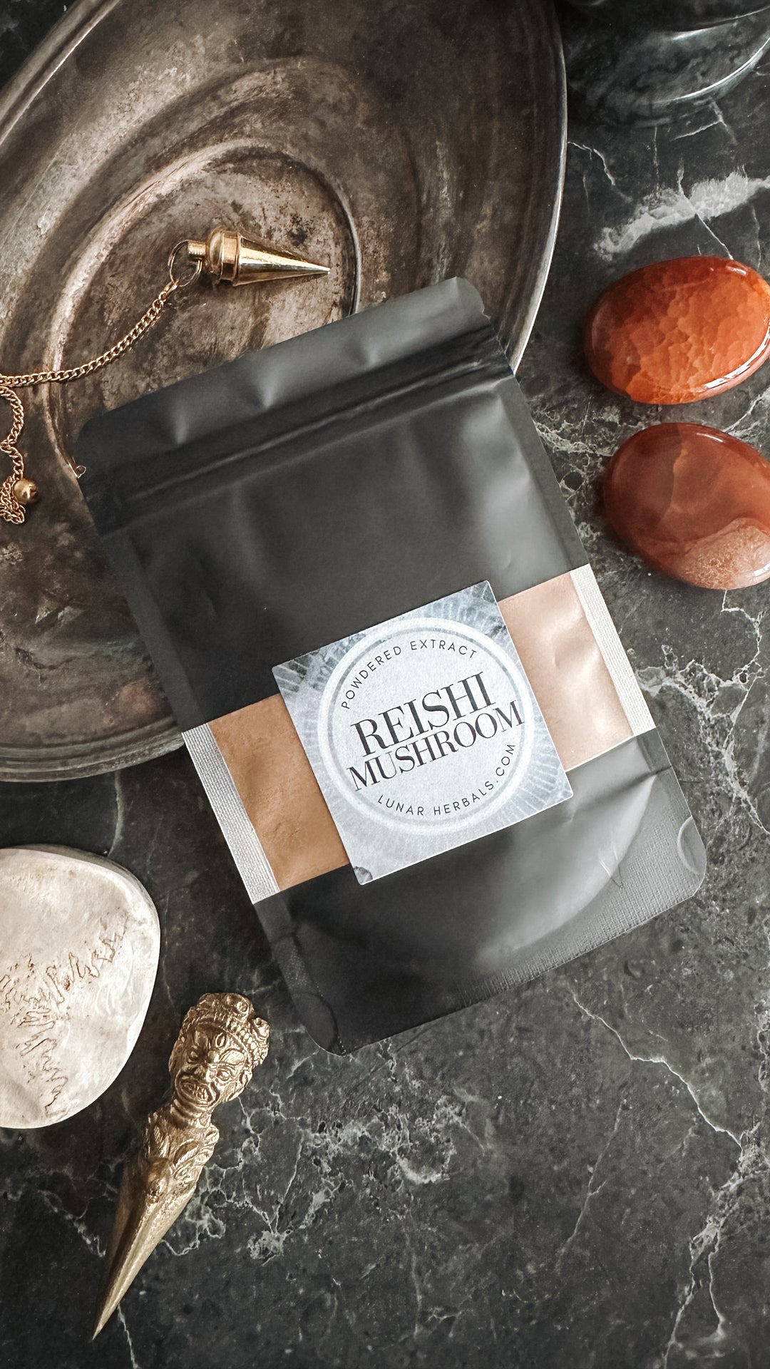 Reishi Mushroom Powder 2 oz Bag