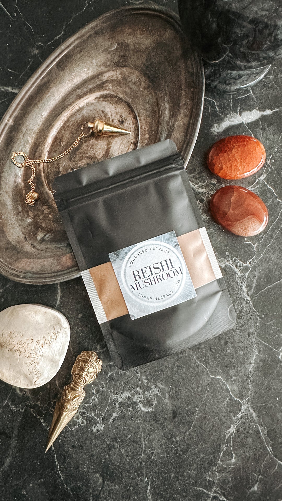 Reishi Mushroom Powder 2 oz Bag